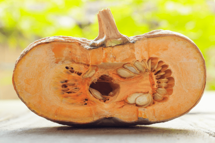 pumpkin for pumpkin and sausage pizza