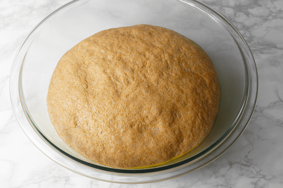 whole wheat pizza dough after fermentation in bowl