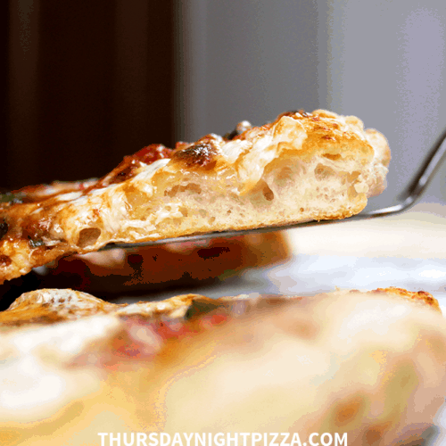 Sourdough Pizza Crust