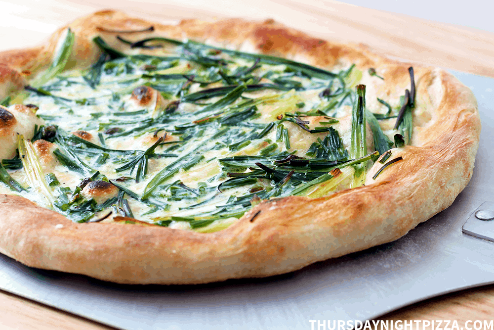 Spring Allium Pizza (with chives, spring onions, and cream)