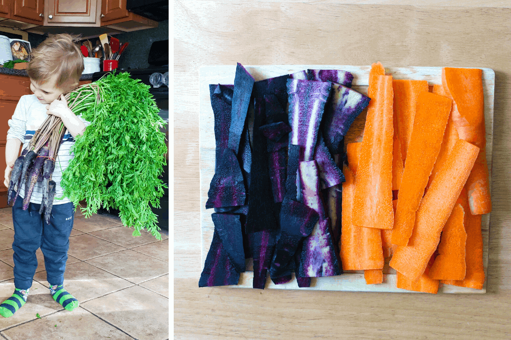 Black Nebula and orange carrots