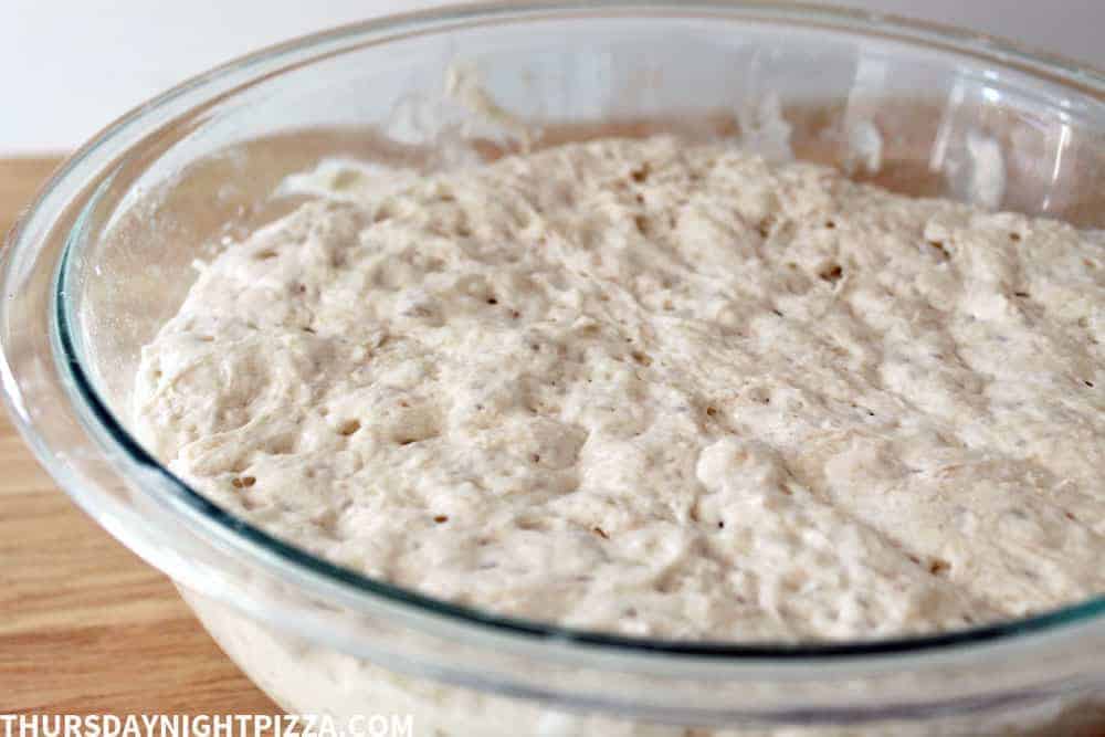 neapolitan pizza dough after first rise
