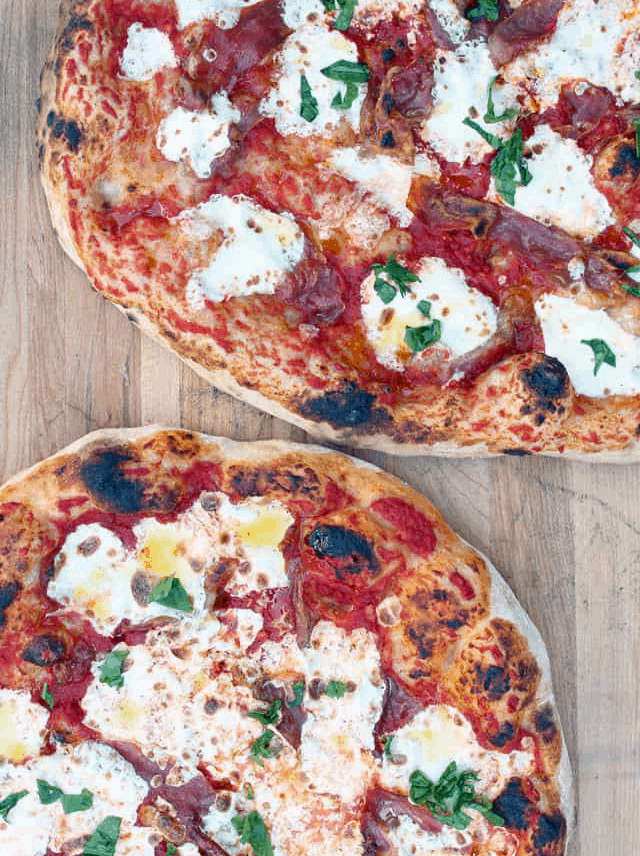 neapolitan style pizza dough