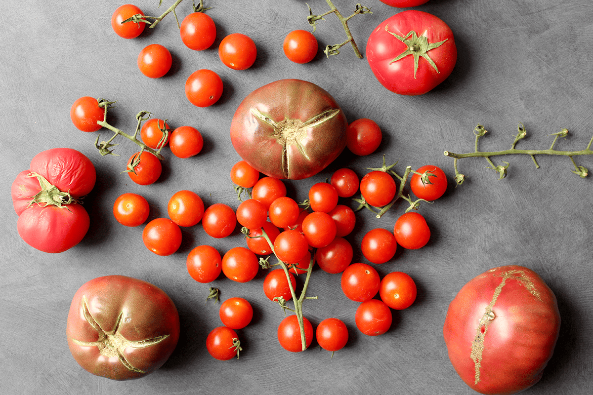 tomatoes on counter